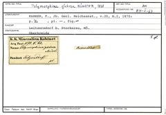 Karteikarte zum Belegmaterial von Polymorphina globosa (Münster, 1838)